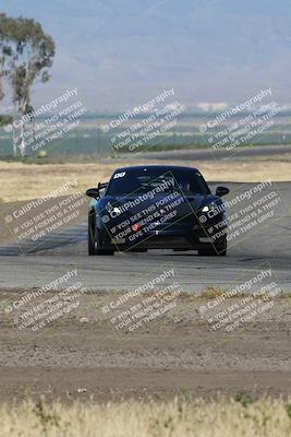 media/May-03-2024-PCA Central Coast (Fri) [[eaa7da0ee1]]/Yellow Group/Session 1 (Grapevine)/